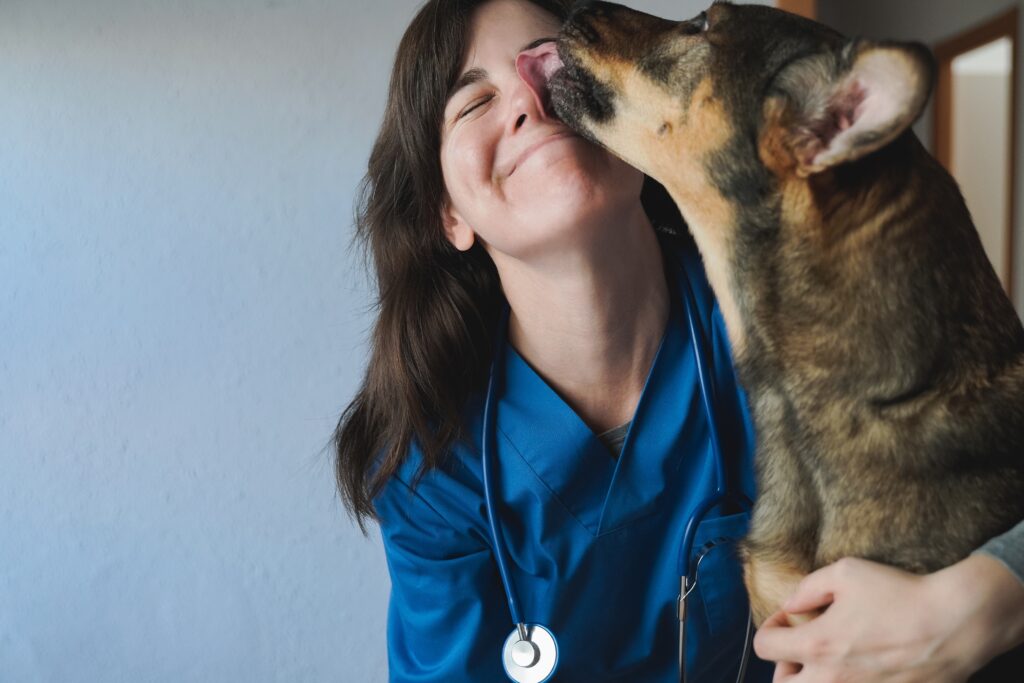 Key Legal Considerations for Setting Up a Veterinary Telehealth Company